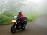 DSC04281.jpg