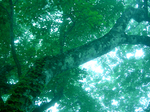 DSC04283.jpg