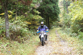 PA01.jpg