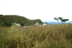 PA07.jpg