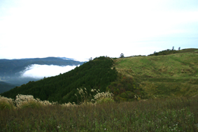 PA08.jpg