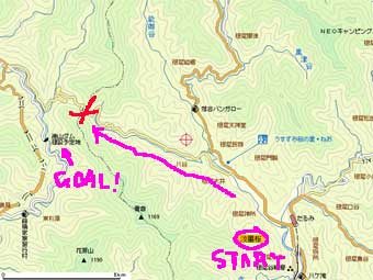 m1.jpg