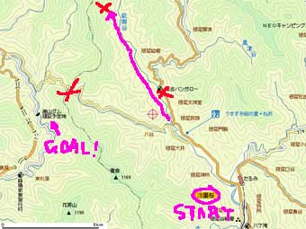 m2.jpg